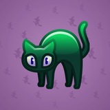Scared Cat #8480 Scared Cat #8480