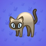 Scared Cat #8522 Scared Cat #8522