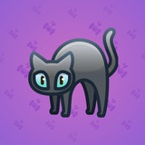 Scared Cat #8523