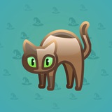 Scared Cat #8525 Scared Cat #8525