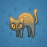 Scared Cat #8533