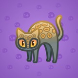 Scared Cat #8560