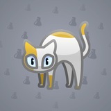 Scared Cat #8594