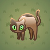 Scared Cat #8599 Scared Cat #8599