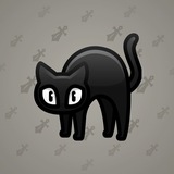 Scared Cat #8630 Scared Cat #8630