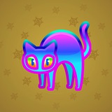 Scared Cat #8655 Scared Cat #8655