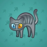 Scared Cat #866