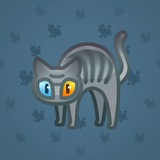 Scared Cat #8725 Scared Cat #8725