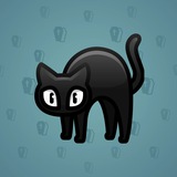 Scared Cat #8728 Scared Cat #8728