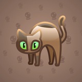 Scared Cat #8765 Scared Cat #8765