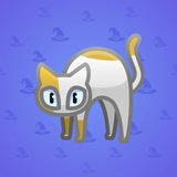 Scared Cat #8797