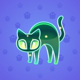 Scared Cat #8806 Scared Cat #8806