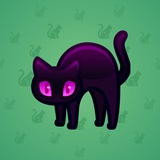 Scared Cat #8837 Scared Cat #8837