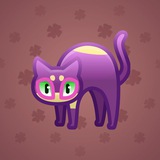 Scared Cat #889 Scared Cat #889