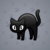 Scared Cat #9049