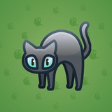 Scared Cat #9070