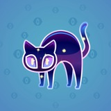Scared Cat #908 Scared Cat #908