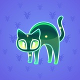 Scared Cat #9081 Scared Cat #9081