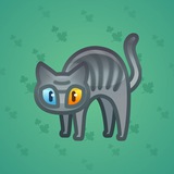 Scared Cat #9110 Scared Cat #9110