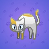Scared Cat #9156