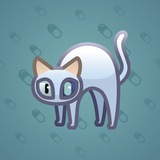 Scared Cat #9190 Scared Cat #9190