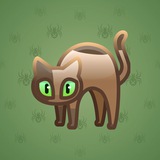 Scared Cat #9199 Scared Cat #9199