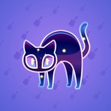 Scared Cat #9349 Scared Cat #9349