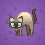 Scared Cat #9368 Scared Cat #9368