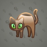 Scared Cat #9369 Scared Cat #9369