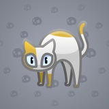Scared Cat #9414
