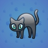 Scared Cat #9427 Scared Cat #9427