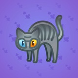 Scared Cat #9630 Scared Cat #9630