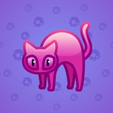 Scared Cat #9654