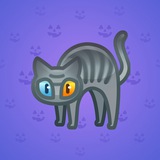 Scared Cat #9693 Scared Cat #9693
