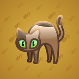 Scared Cat #9837 Scared Cat #9837