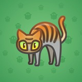 Scared Cat #9843