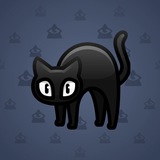 Scared Cat #9885 Scared Cat #9885
