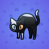 Scared Cat #9920 Scared Cat #9920