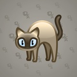 Scared Cat #9969 Scared Cat #9969