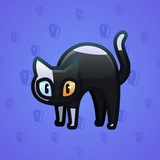 Scared Cat #9972