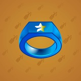 Signet Ring #10379