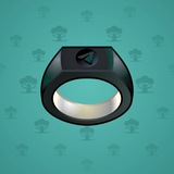Signet Ring #1044