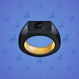 Signet Ring #10741