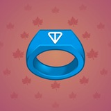 Signet Ring #10830 Signet Ring #10830