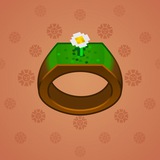Signet Ring #10923 Signet Ring #10923