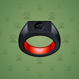 Signet Ring #11006 Signet Ring #11006
