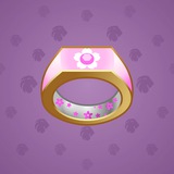 Signet Ring #11258
