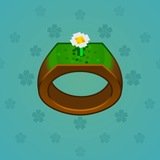 Signet Ring #11494 Signet Ring #11494