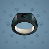 Signet Ring #11549