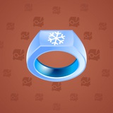 Signet Ring #11873 Signet Ring #11873